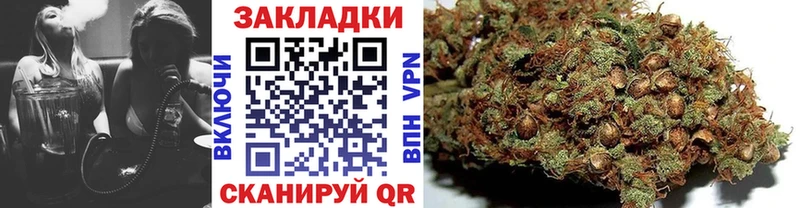 Где найти наркотики Клинцы Бошки Шишки МЕФ Альфа ПВП ГАШИШ