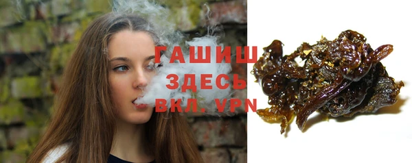 ПСИЛОЦИБИНОВЫЕ ГРИБЫ Абаза