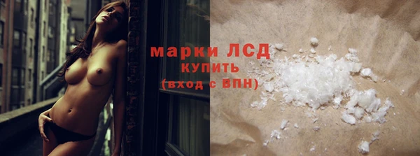 ПСИЛОЦИБИНОВЫЕ ГРИБЫ Абаза