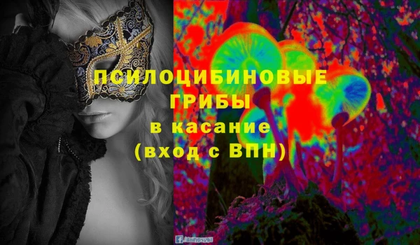 PSILOCYBIN Абинск